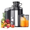 Hoffman Juice Extractor HM-621