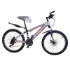 Mountain Bike 26 inches Unisex
